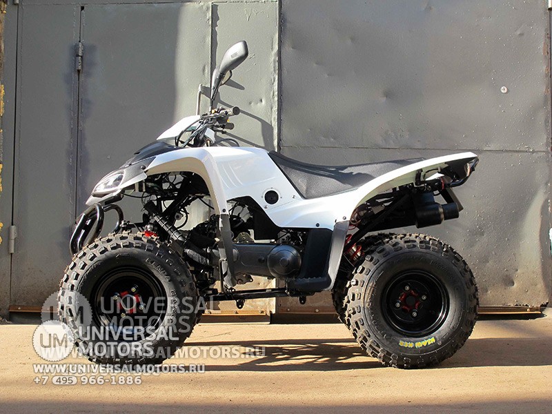Квадроцикл ADLY ATV-150S (14110371701433)