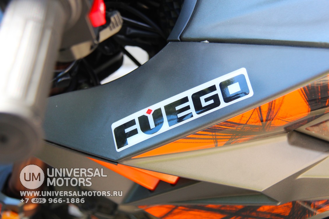 Мотоцикл Fuego Tekken 250 (16539146405011)