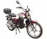 Мотоцикл ZIP Motors Pegas