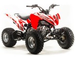 Квадроцикл Motoland ATV 125S