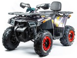 Квадроцикл Motoland WILD TRACK X 200 (2021)