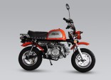 Мотоцикл Skyteam ST50-A8 Euro4