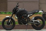 Мотоцикл Fuego Scrambler 250 LUX (174MN)