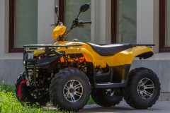 Квадроцикл IRBIS ATV 200 PREMIUM с ПСМ