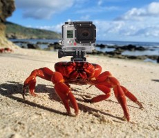 Аренда экшн-камеры GoPro HERO5 на 3 дня