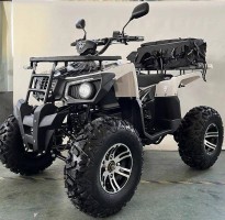 Квадроцикл MOTAX ATV GRIZLIK E3000 4WD