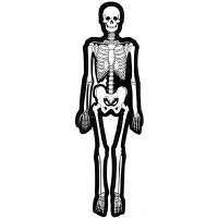 Наклейка (10х30) Skeleton