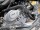 Квадроцикл Bison 125 EVO Sport (14151297809424)