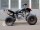 Квадроцикл Bison 125 EVO Sport (1415129781074)