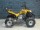 Квадроцикл ArmadA ATV 110G (детский) (14349968429772)