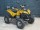 Квадроцикл ArmadA ATV 110G (детский) (14349968537527)