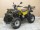 Квадроцикл ArmadA ATV 150B(10') (1422888637608)