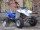 Квадроцикл ADLY ATV-300 Sport (14280017421016)