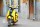 скутер Nexus Classic 150 yellow (14123540285485)