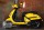 скутер Nexus Classic 150 yellow (14123540294102)