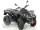 Квадроцикл Access BR400 4WD black (14301383168288)