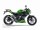 Мотоцикл Kawasaki Z300 ABS (2016) (14806664382146)