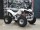 Квадроцикл Bison ATV A-55 125 cc 8" (14540926155818)