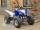 Квадроцикл Bison Pantera 250 NS (14110410226894)