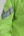 Мотодождевик Hyperlook Titan Green (15554233472154)