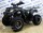 Квадроцикл Avantis ATV Classic 200 Lux (1575992927787)