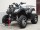Квадроцикл Bison HAMMER LUX 200 (с лебедкой) (15761620936485)