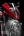 Мотоцикл DUCATI Monster 797 Plus - Ducati Red (1581940565833)