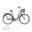 Велосипед AIST Tango 1.0 28 (15826415624419)