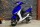 Скутер Motoland JOG 150 (16121871668725)