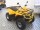 Квадроцикл IRBIS ATV200 NEW 2021 с ПСМ (16354937252926)
