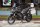Мотоцикл VOGE 500DSX Adventure (16529687037814)