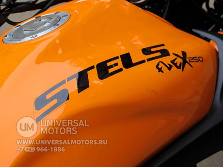 Мотоцикл Stels FLEX 250 (14110300022327)
