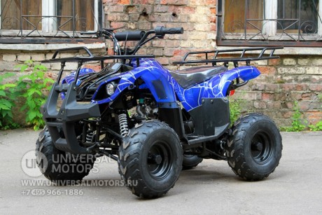 Квадроцикл Bison Spider 110 blue (14110416280118)