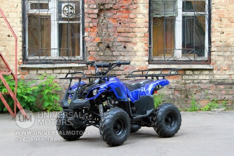 Квадроцикл Bison Spider 110 blue (1411041628278)