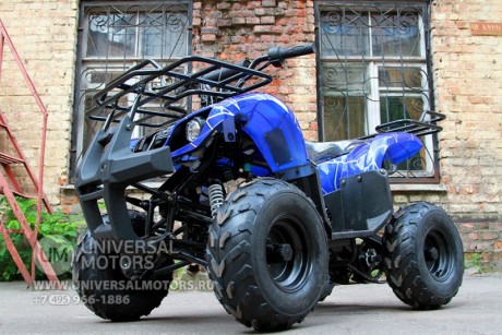 Квадроцикл Bison Spider 110 blue (14110416285459)