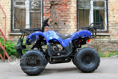 Квадроцикл Bison Spider 110 blue (14110416287963)