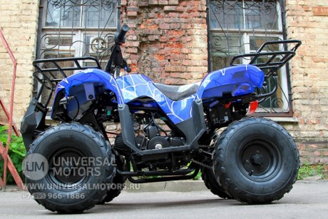 Квадроцикл Bison Spider 110 blue (14110416293291)