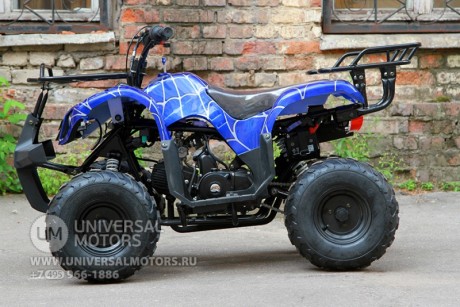 Квадроцикл Bison Spider 110 blue (14110416301276)