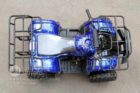 Квадроцикл Bison Spider 110 blue (14110416303886)