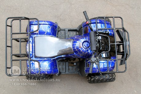Квадроцикл Bison Spider 110 blue (14110416306367)