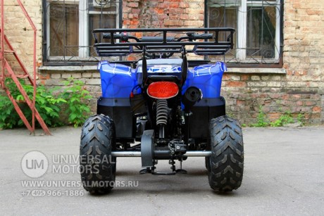 Квадроцикл Bison Spider 110 blue (14110416311239)