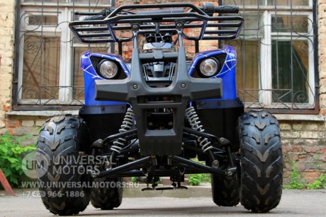 Квадроцикл Bison Spider 110 blue (14110416321165)