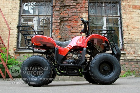 Квадроцикл Bison Spider 110 red (14110416851778)