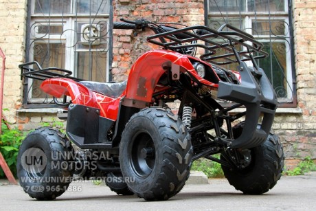 Квадроцикл Bison Spider 110 red (14110416862042)