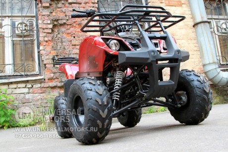 Квадроцикл Bison Spider 110 red (14110416898589)
