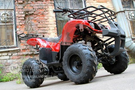 Квадроцикл Bison Spider 110 red (1411041690109)