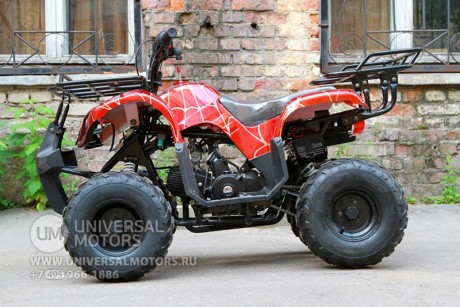 Квадроцикл Bison Spider 110 red (1411041690377)