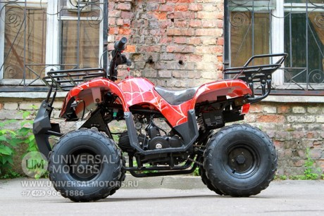 Квадроцикл Bison Spider 110 red (14110416908929)