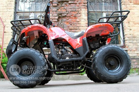 Квадроцикл Bison Spider 110 red (14110416914022)