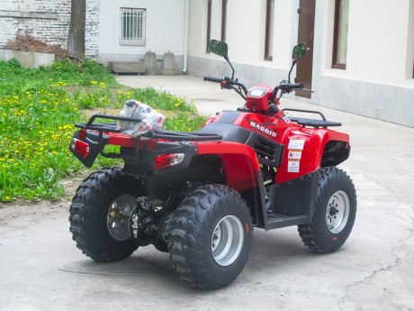 Квадроцикл ArmadA ATV 200L (14957059429815)